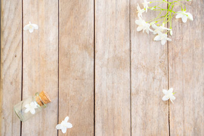 High angle view of white flower on table