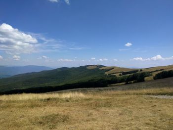 Scenic view of field against sky