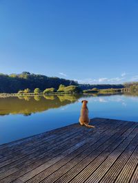 Pier on lake against clear blue sky