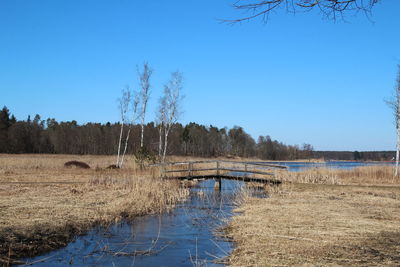 Scenic view of landscape against clear blue sky