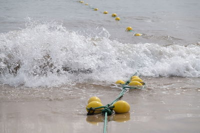 High angle view of buoy in sea