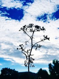 Low angle view of tree against cloudy sky