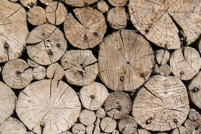 Full frame shot of logs in forest