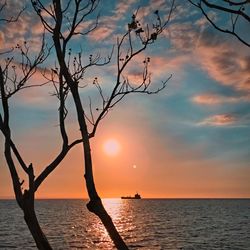 Silhouette bare tree by sea against sky during sunset