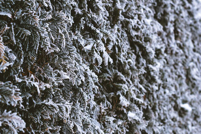 Full frame shot of snow