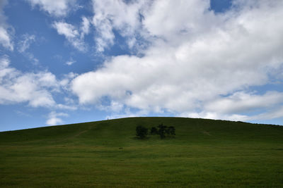 Scenic view of grassy field against sky