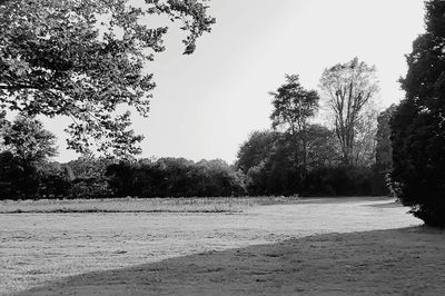 Trees on field against sky during winter