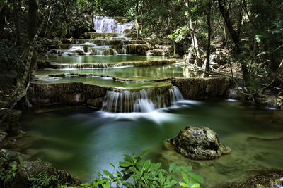 Scenic view of waterfall in forest