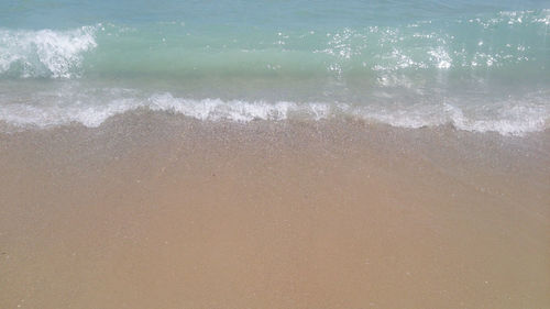 Scenic view of beach