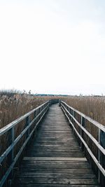 Landscape and sky