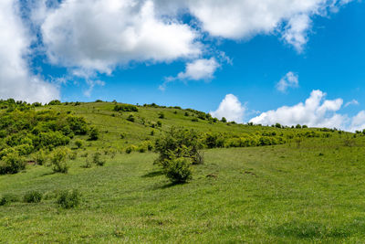 Scenic view of land against sky