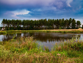 Idyllic landscape front of lake tree reflection and cloudy sky horizontal view