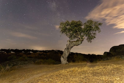 Trees on field against sky at night