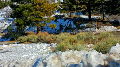 Scenic view of waterfall in winter