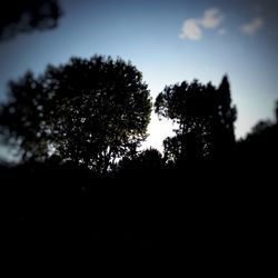 Low angle view of silhouette trees against sky
