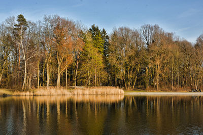 Scenic view of lake in forest against sky