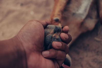 Close-up of hand holding hands