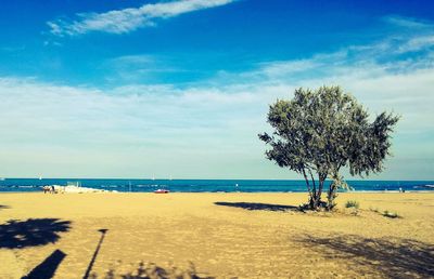 View of calm beach against blue sky