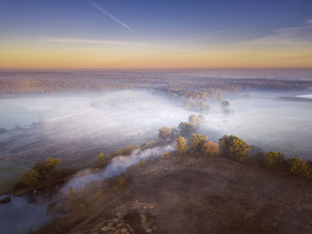 Aerial view of trees in forest during foggy weather