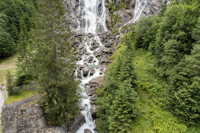 Scenic view of waterfall in forest