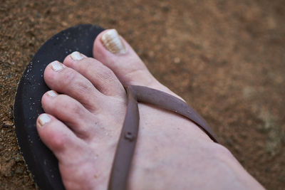 High angle view of woman holding hands on land