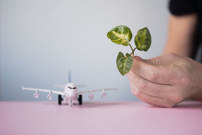 Hand holding leaf, airplane model in background