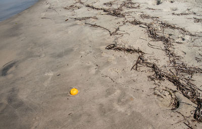 High angle view of yellow ball on sand