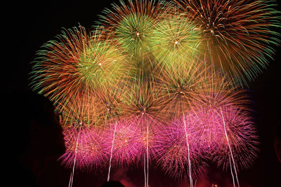 Low angle view of firework display at night
