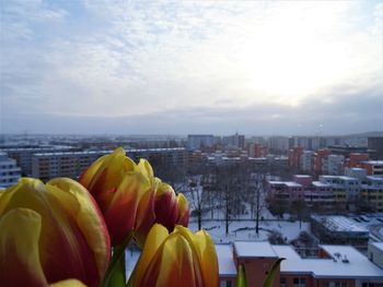 Panoramic shot of snow covered buildings in city against sky
