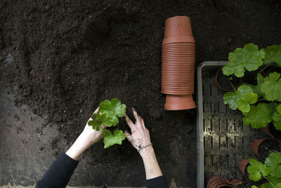 High angle view of woman planting plant in mud by pots