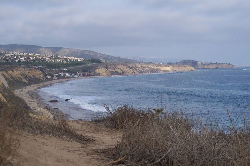 SCENIC VIEW OF SEA AND SHORE AGAINST SKY