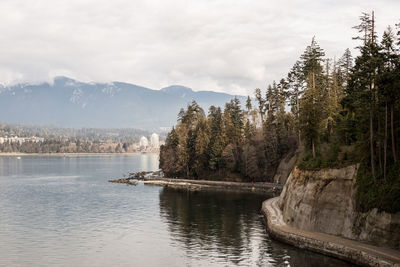 Scenic view of lake by trees against sky