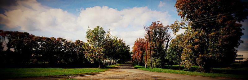 Panoramic view of trees on landscape against sky