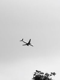 Low angle view of airplane flying in sky