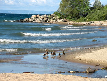 Scenic view of beach against sky