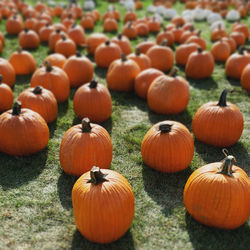 High angle view of pumpkins for sale