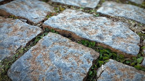 Close-up of rock