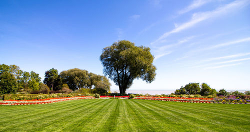 Scenic view of land against sky