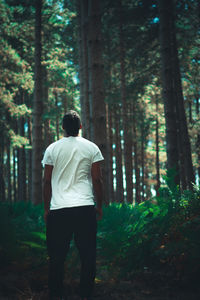 Rear view of man standing by trees in forest
