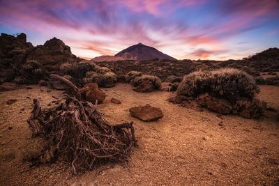 Scenic view of desert against sky during sunset