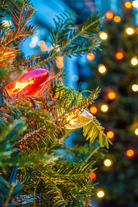 Close-up of christmas tree