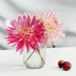 Close-up of pink dahlias in vase on table