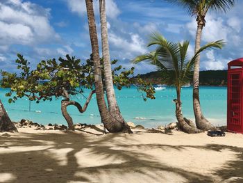 Palm trees on beach against sky