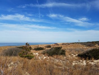 Scenic view of beach against sky