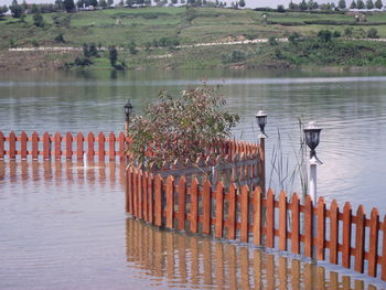 Wooden posts in lake