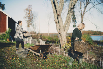 Rear view of friends standing by tree against plants