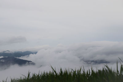 Scenic view of land against sky