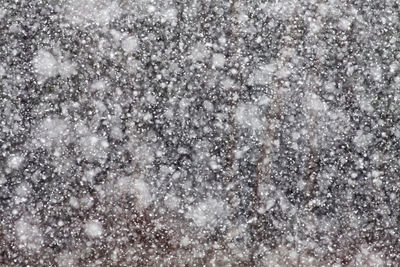 Full frame shot of snow covered trees