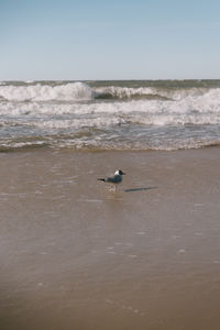 water