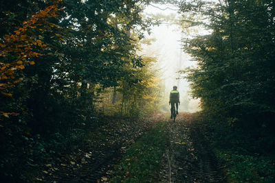 Rear view of man walking on footpath in forest
